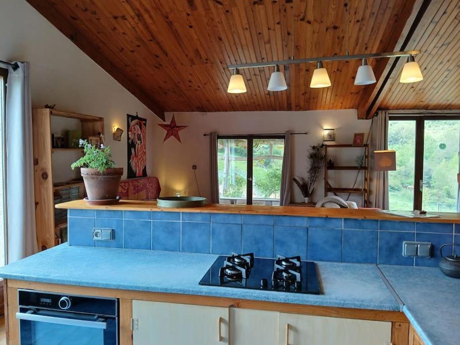 Bright Loft With Mountain And Nature View Sougraigne Экстерьер фото